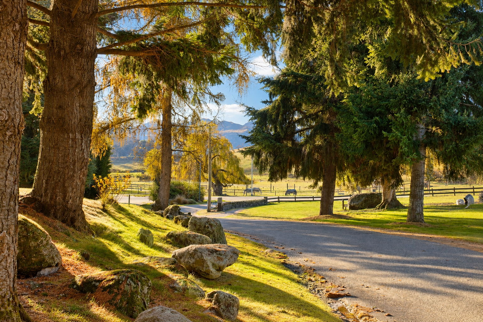 Open lawns and mountains at Sundale Holiday Park, Wānaka