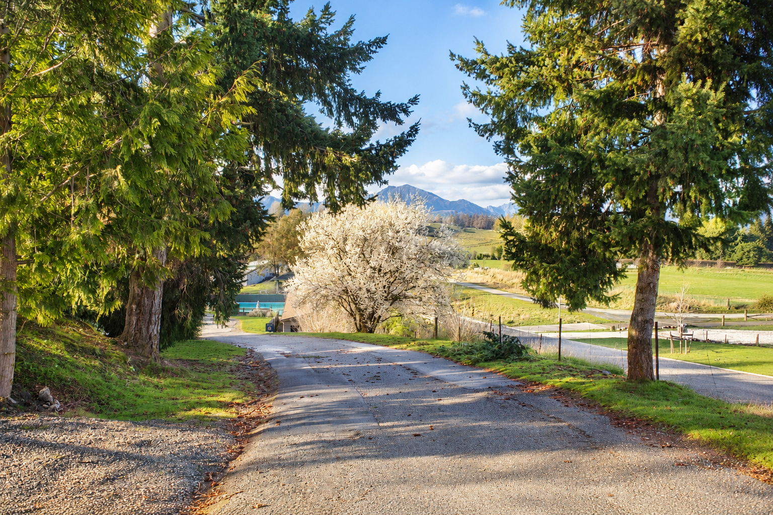 The park lawns under the Southern Alps