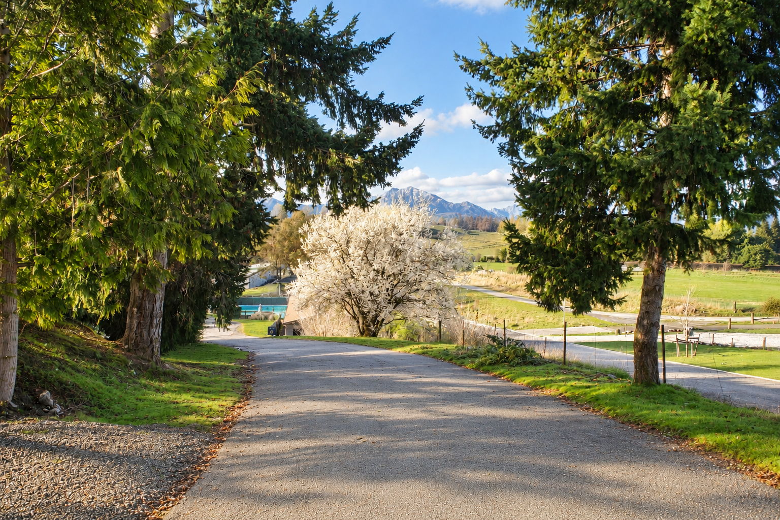 Lake Wānaka and the Southern Alps from the park