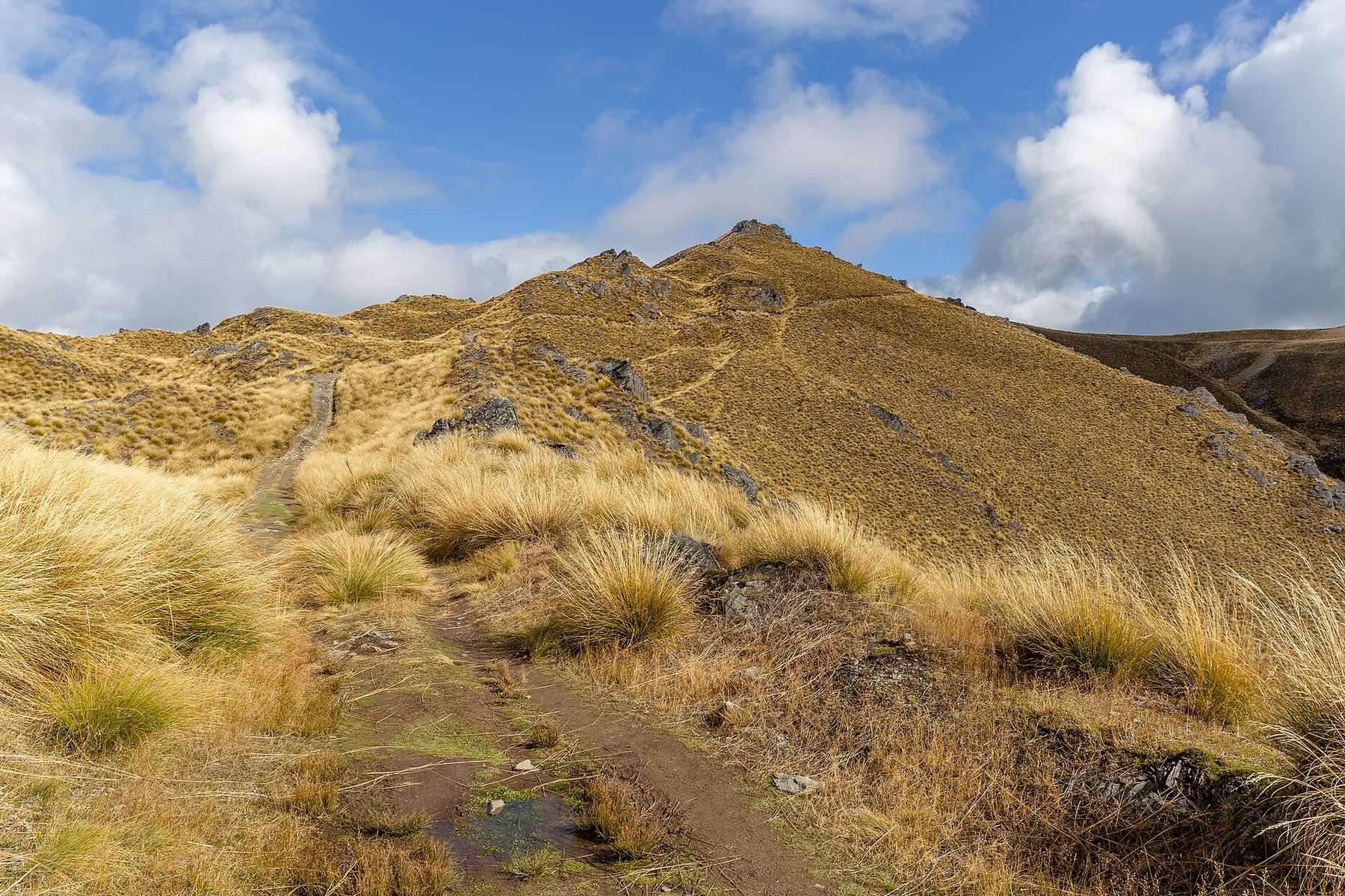 Isthmus Peak Track